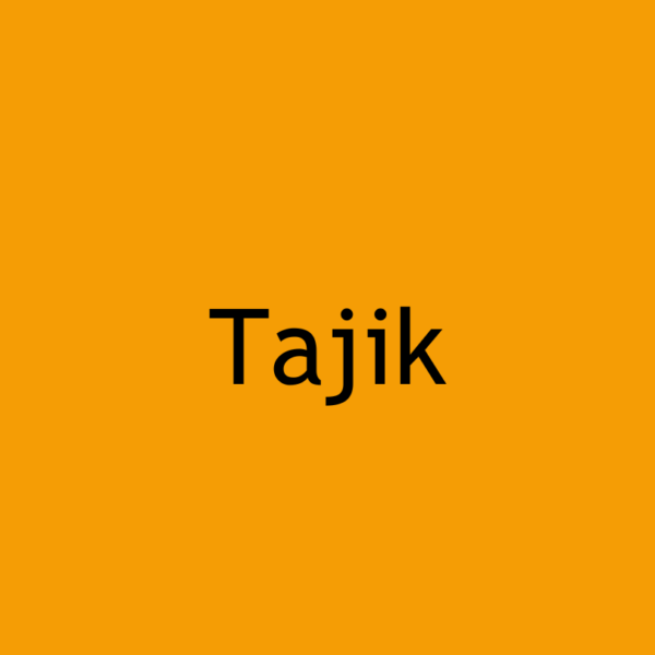 Tajik translation services image