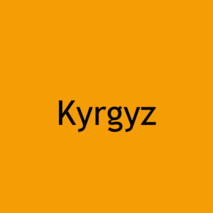 Kyrgyz translation services image