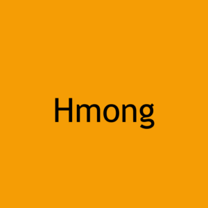 Hmong Certified Translation Services